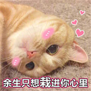 超撩的可爱表情包,女生抵抗不了的表情包 超撩的可爱表情包,女生抵抗不了的表情包第8张